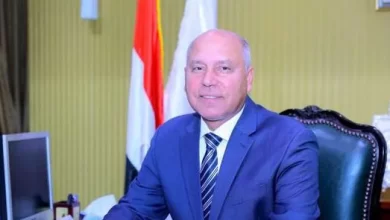 كامل الوزير