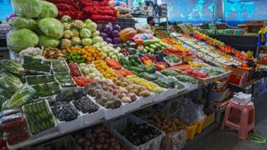 أسعار الخضراوات