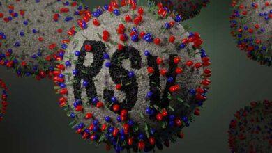 صورة الفيروس المخلوي