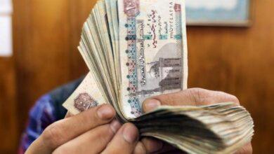 أموال الأرباح