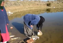 قلة المياه في تونس