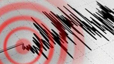 مؤشر الزلازل