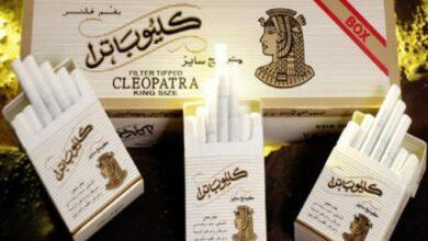 اسعار سجائر كليوباترا اليوم