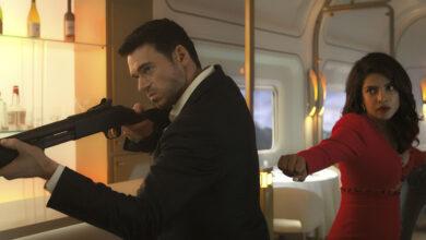 قصة مسلسل Citadel