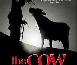 فيلم البقرة