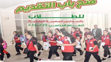 المدارس المصرية اليابانية