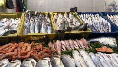 مقاطعة الأسماك