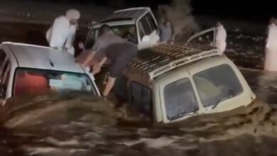 سيول المدينة المنورة