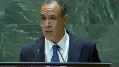 وزير الخارجية بدر عبد العاطي