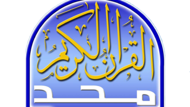 تردد قناة المجد نايل سات 2024