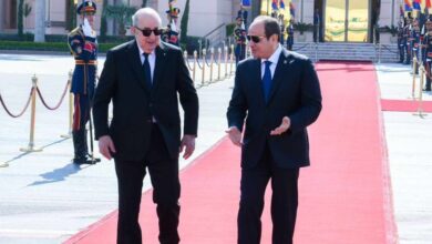 الرئيس السيسي وتبون